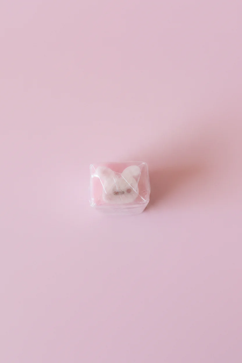 Kawaii kanin suddgummi - Gulligt skrivbordstillbehör för skola och kontor (kopia) - Image 2