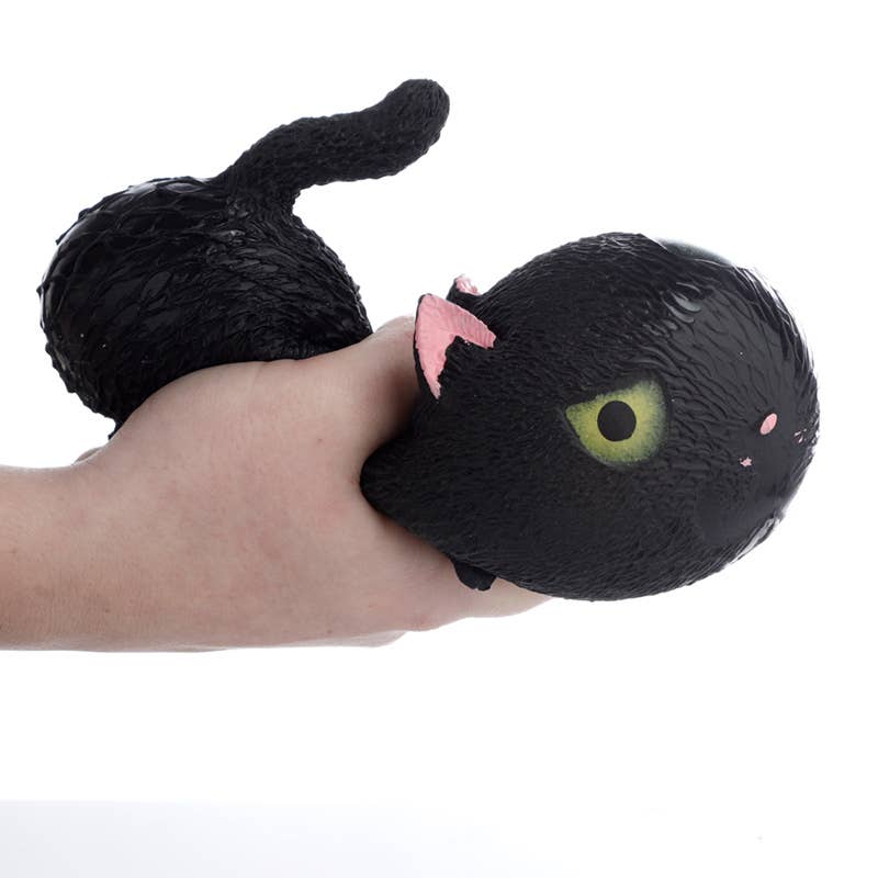 Squeezy Katt - Image 3